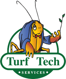 Turf Tech Services LLC